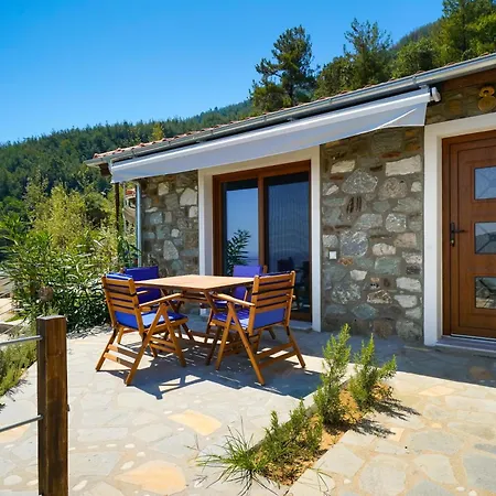 Villa Azure Skala Potamia  Exterior photo